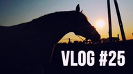 Pierwsze galopy DORI POD JEŹDZCEM  Vlog #25