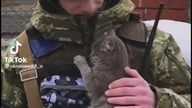 Ukraina mix tiktok&oacute;w 21
