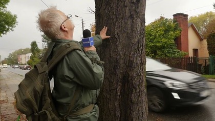 Chore kasztanowce na ulicy Szczakowskiej.  Efekt Agnieszki