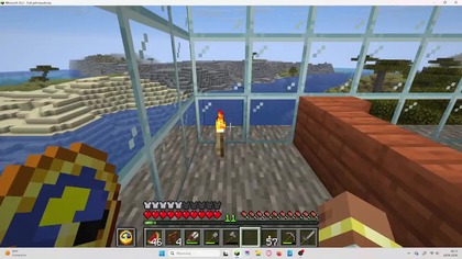 Minecraft...