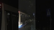 Jak cielę wszedł pod autobus