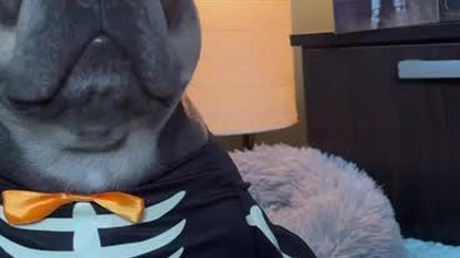 ee3f3ca9-1fc2-48d5-8213-882e10a1c557