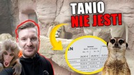 Odkryjcie największą atrakcję Hanoweru - niesamowite Zoo!