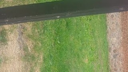 Test łącza na spacerze