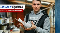 Vlog 4 - Powrót do hodowli - Łączenie par rozpłodowych - porady dla młodych hodowców - pomoc hodowcy