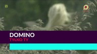 Domino - Tylko ty 1080p
