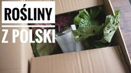 Otwieramy paczkę z ROŚLINAMI - Zielony Parapet