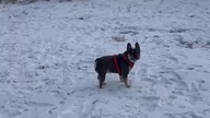 Dzień dobry, miłego weekendu!