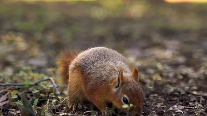 14458751 1080 1920 30fps