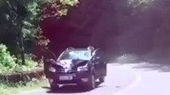 Jedziesz sobie spokojnie przez góry aż tu nagle +18