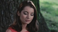 Accident (1967) Napisy