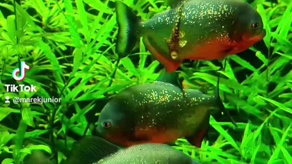 Wszystko się poukłada  #motywacja #życie #rozwój