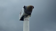 Złotoryja-Słup-2020 fotki krajobrazowe