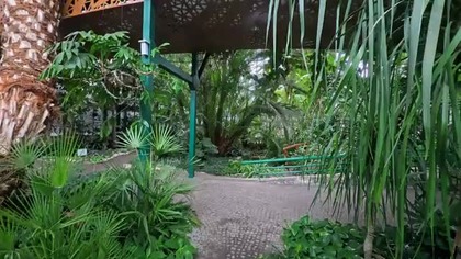 Akwarium, Palmiarnia, Amazonka, Gliwice, Polska