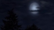 Nowe. Przygody. Adamsow.pl. DVBRiP. S01E38(1)