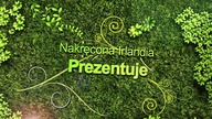 [Impro] Pierwsze urodziny Polskiej Grupy Improwizacyjnej w Dublinie