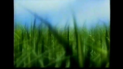 TV4 - Reklamy i zapowiedzi z 28 kwietnia 2003 roku