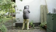 Urban patriota