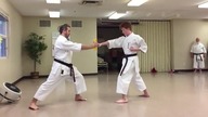 Mistrz karate