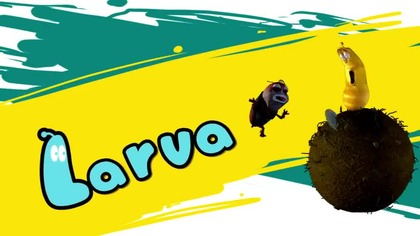S02E08 Larva - odcinek 8