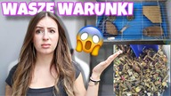 OCENIAM WARUNKI WASZYCH KRÓLIKÓW #8