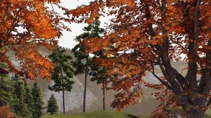 Autumn Cozy Porch in Forest by the Lake Ambience with Falling Leaves, Birdsong & (1)