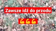 Dobry vibe  motywacja na początek dnia 