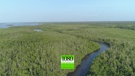 Wyspa hipopotam&oacute;w