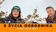Z życia ogrodnika  Vlog ogrodowo domowy- in vitro, nowe sadzonki monstery @Życie w Ogrodzie