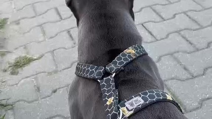 58246748-93e8-40c5-b044-a794160c1d08