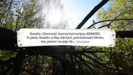 Integracja Światła i Ciemności.  Yin Yang.  Jednia i Dualizm