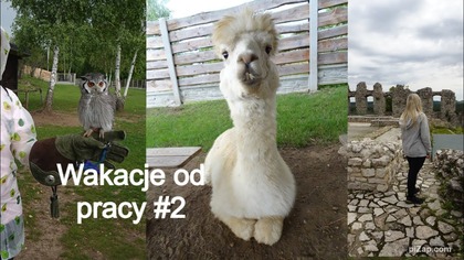 Sowiarnia karmienie alpaki pustynia i zamek wycieczka do Olkusza