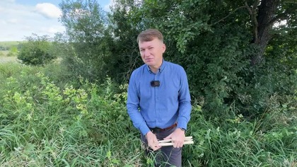 Zioło, które wspiera wątrobę i nerki  ostrożeń | Michał Toczyłowski | Narum | Narine