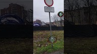 TEJ MARKI AUT ZAKAZY NIE DOTYCZĄ #shorts