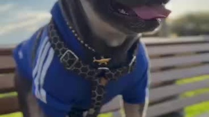 27b61444-9f2e-48d8-aa9d-68f40b2a7818