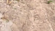 Wypadki i potknięcia KTM E-XC GoPro 13