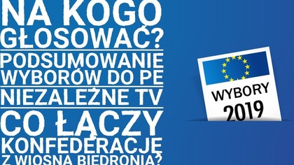Podsumowanie wybor&oacute;w do Parlamentu Europejskiego 2019