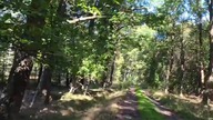 Miedary, Polska