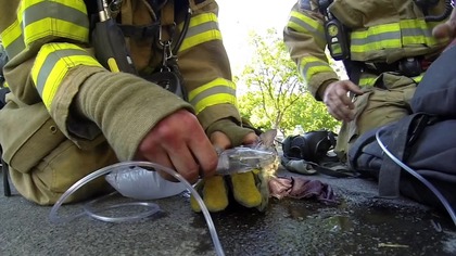 GoPro: Fireman Saves Kitten