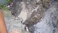 Psia mama desperacko odkopuje szczeniaka, który wpadł do dziury