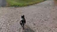 Gdzie tu iść ?!