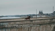 Morderstwa w Blois.  (2022) lektor