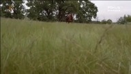 06.  Piekło na Kołach - Hell. on. Wheels. S04E06.pl.western