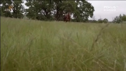 06.  Piekło na Kołach - Hell. on. Wheels. S04E06.pl.western