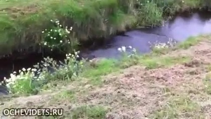 Skok przez r&oacute;w