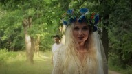 Nine Walking Trees - Blue Blue (Official Video)