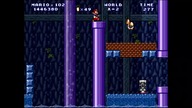 Mario Worker Letter Worlds Series 1.51 (2026) World X Swampertion