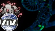 Nadciąga wariant SARS-CoV-2, który pokona szczepionki! Naukowcy są tego pewni