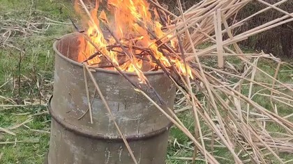 #shortsPrzenośne ognisko z beczki na działce