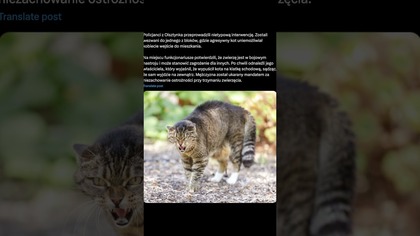 Jeśli chcecie mnie wesprzeć w tworzeniu treści, możecie to zrobić tutaj:   https://tipply.pl/@WujaszekMarian
https://patronite.pl/wujasmarian?podglad-autora

 Wbij też dzwonek, żeby być pierwszy w komentarzach!

Dzięki za wsparcie, każda subka to dla mnie ogromna motywacja! Widzimy się w kolejnym filmiku! 

#WujasMarian #NewsCommentary #Subskrybuj

*Subuj teraz, bo:

1. **Zawsze na czasie**  Będziesz wiedział wszystko jako pierwszy.
2. **Wspierasz kanał**  Twoja subka to ogromna pomoc.
3. **Jesteś w ekipie**  Dołączasz do naszej zajebistej społeczności.